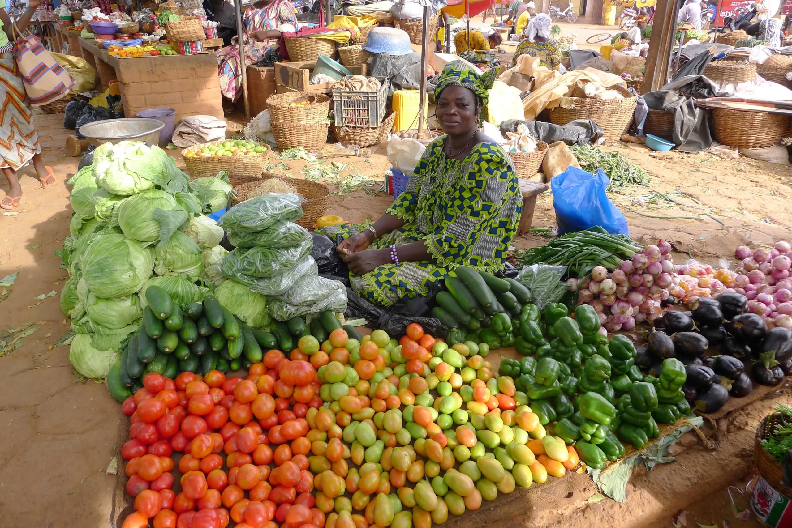 The Rise of Veganism in South Africa(2025)