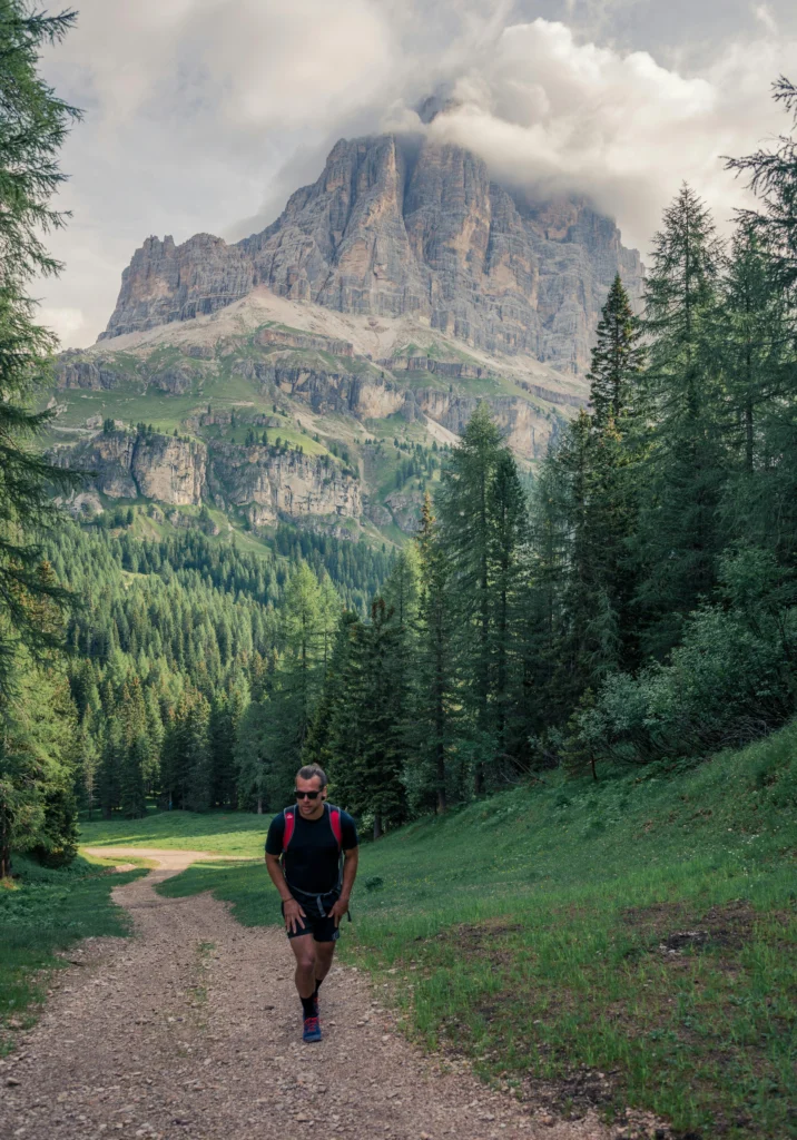 man walking near pine trees and mountain.