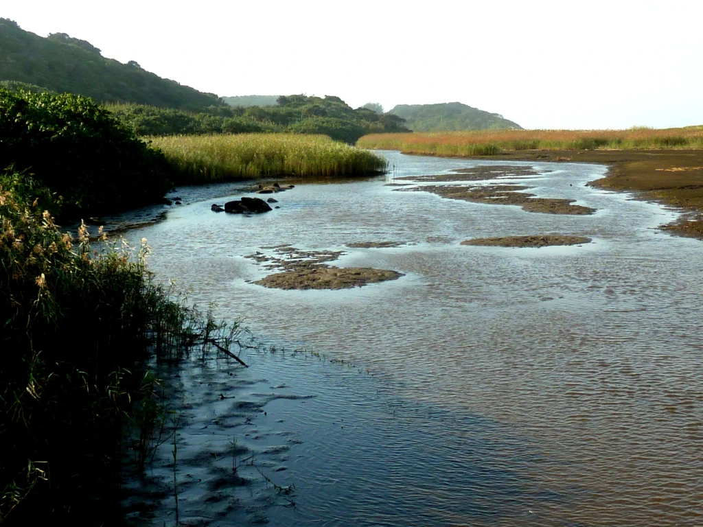 Umhlanga Lagoon Nature Reserve for eco-friendly activities in Durban.